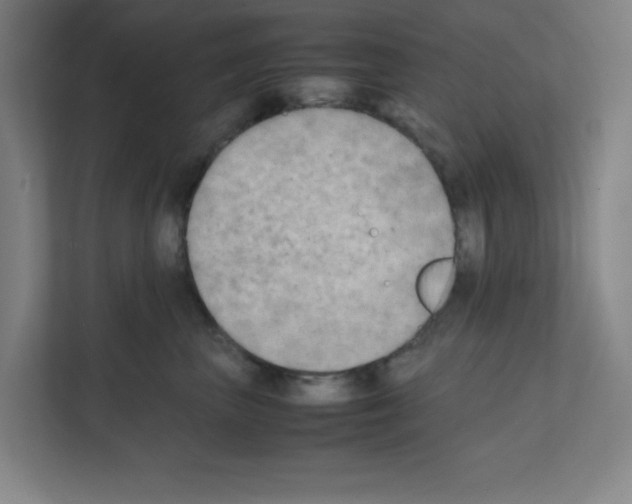 X0000111150667200908111135