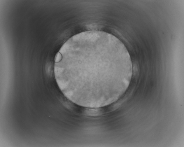 X0000111150671200908111135