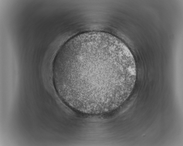 X0000111150673200908111134