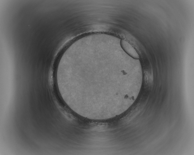 X0000111150676200908111134