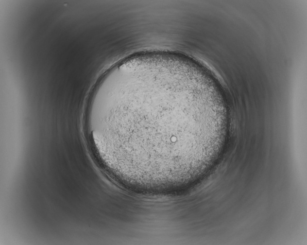 X0000111150677200908111134