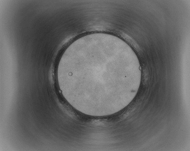 X0000111150680200908111134