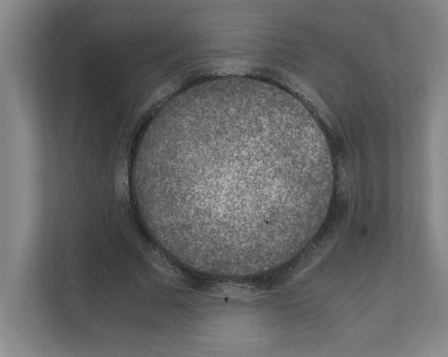 X0000111150681200908111134