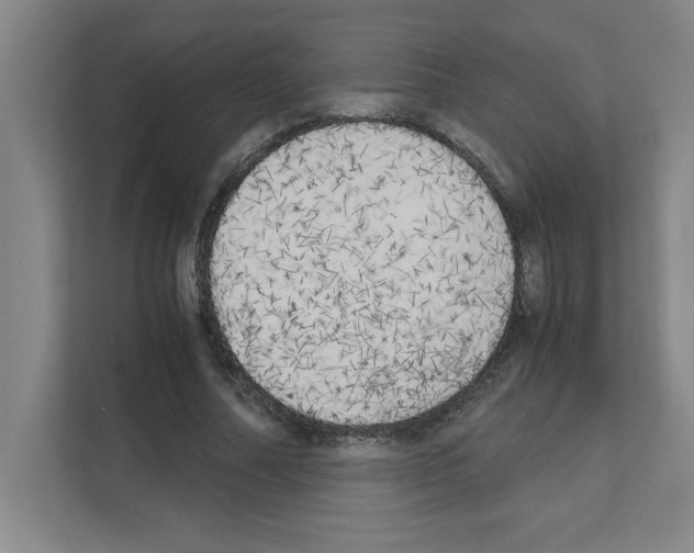 X0000111150682200908111134