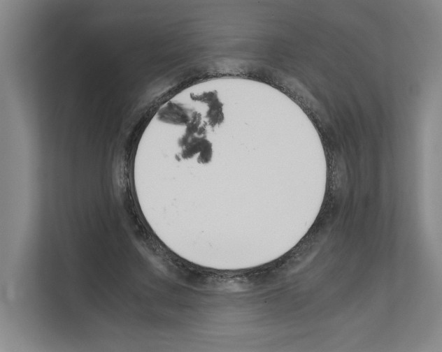 X0000111150683200908111134