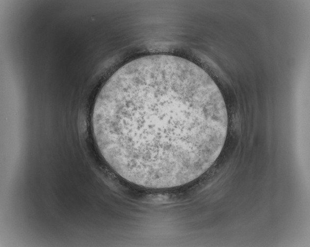 X0000111150687200908111134