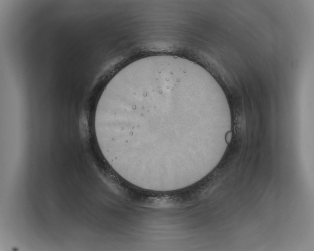 X0000111150688200908111134