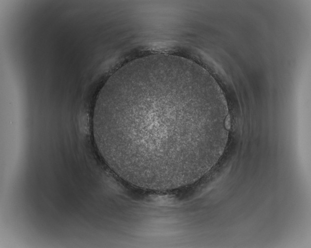 X0000111150689200908111134