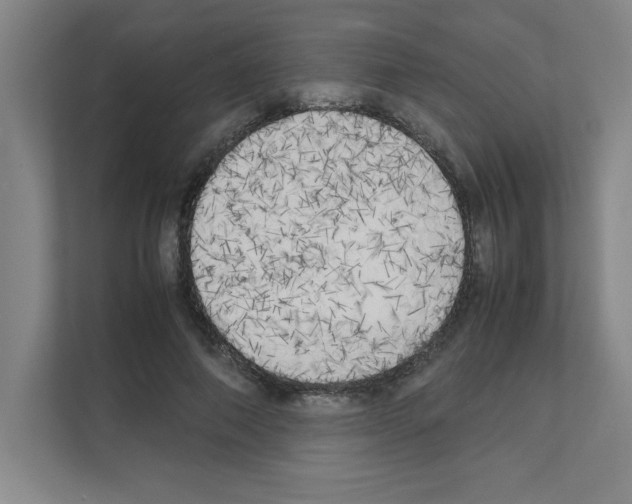 X0000111150690200908111134