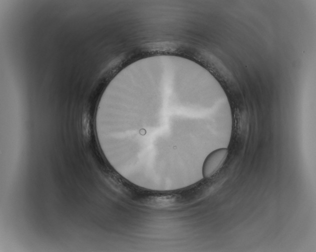 X0000111150692200908111134