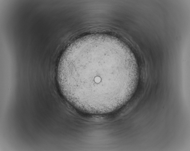 X0000111150701200908111134