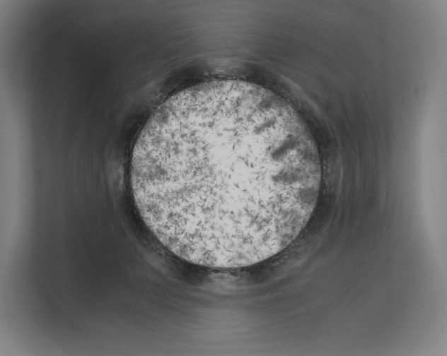 X0000111150703200908111134