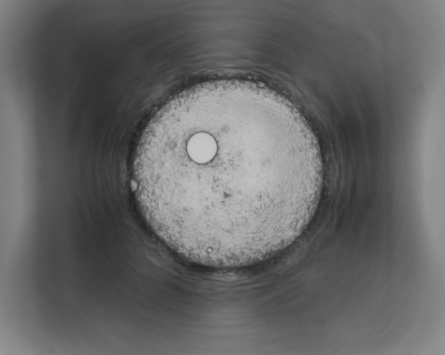 X0000111150704200908111134