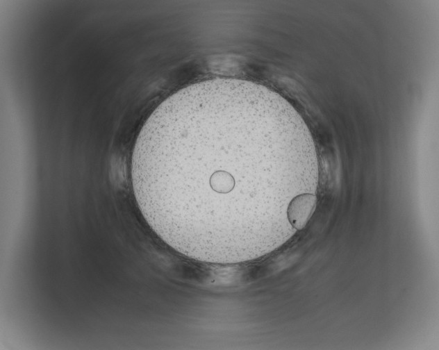 X0000111150705200908111134