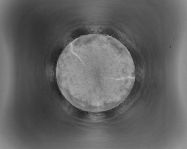 X0000111150707200908111134