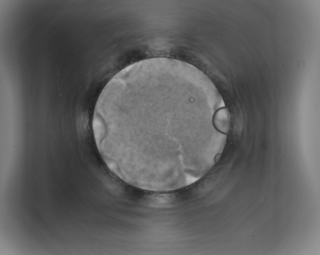 X0000111150711200908111134