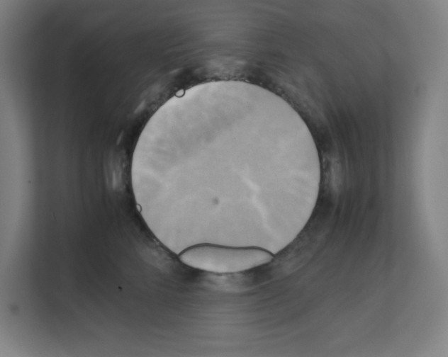 X0000111150712200908111134