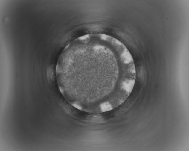 X0000111150715200908111134