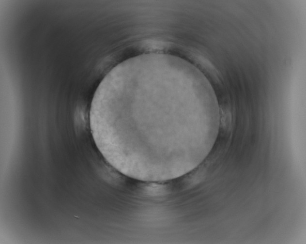 X0000111150718200908111134