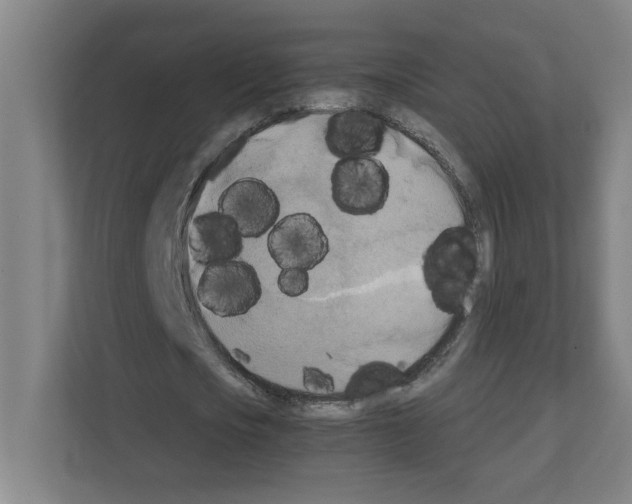 X0000111150721200908111133