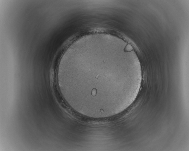 X0000111150722200908111133