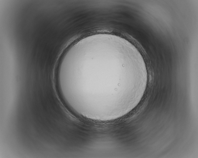 X0000111150725200908111133