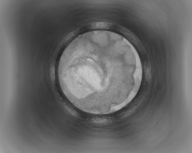 X0000111150729200908111133