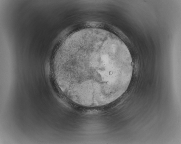 X0000111150734200908111133