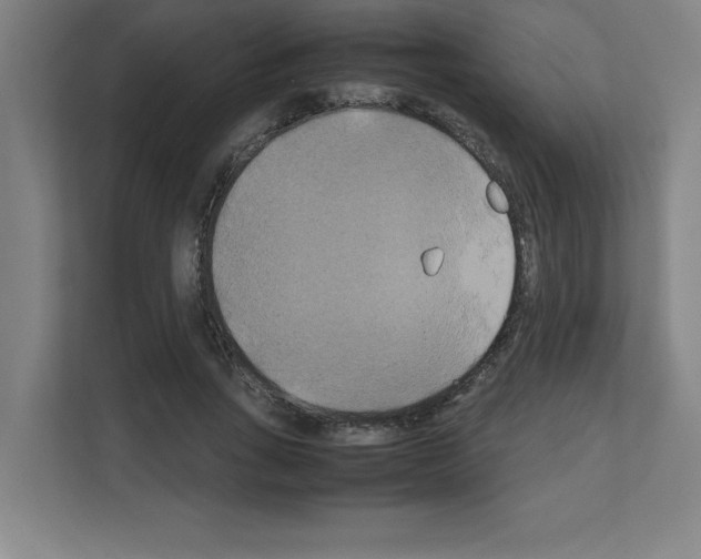 X0000111150735200908111133