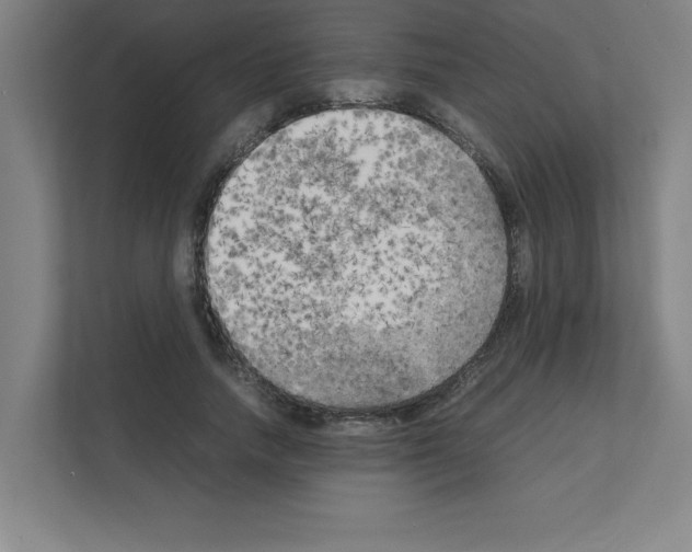 X0000111150738200908111133