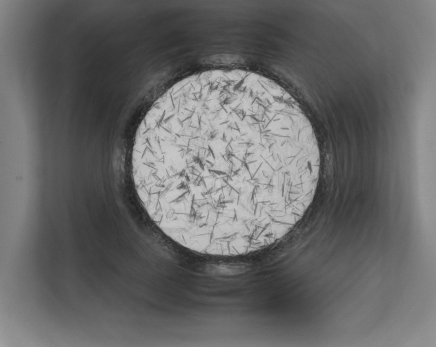 X0000111150739200908111133