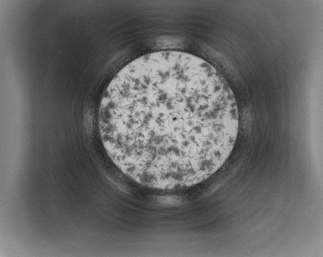 X0000111150741200908111133