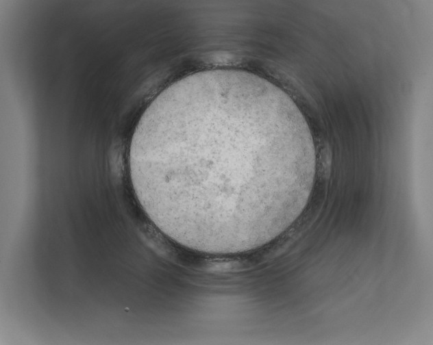 X0000111150746200908111133