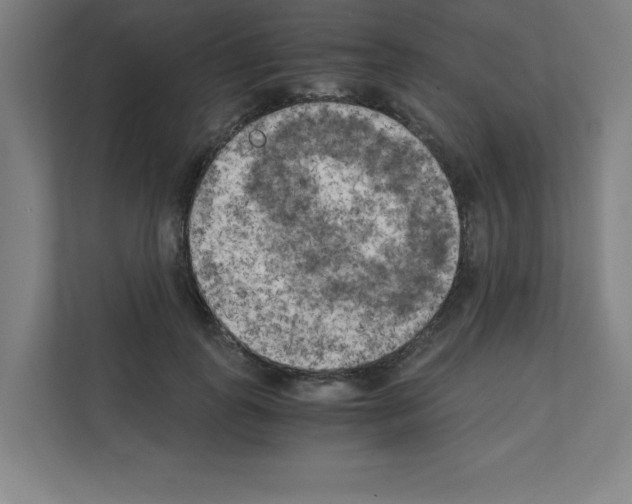 X0000111150747200908111133