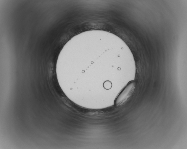 X0000111150752200908111133