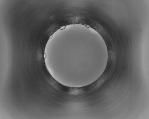 X0000111150754200908111133