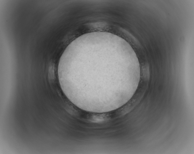 X0000111150757200908111134