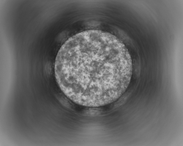 X0000111150758200908111134