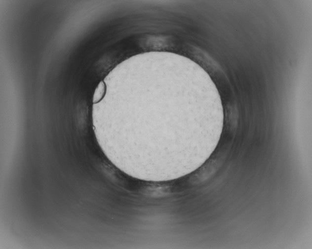 X0000111150760200908111134