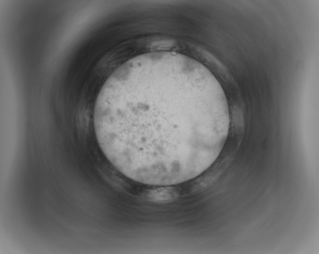 X0000111150761200908111134