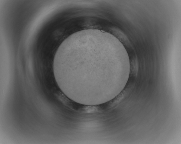 X0000111150762200908111134