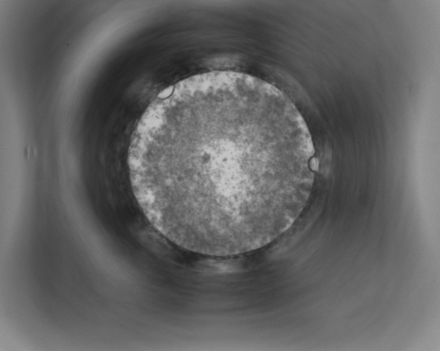 X0000111150763200908111134