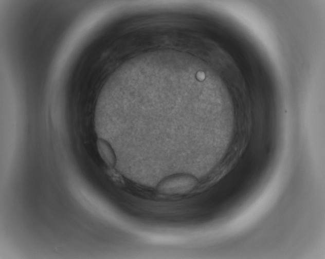 X0000111150766200908111134