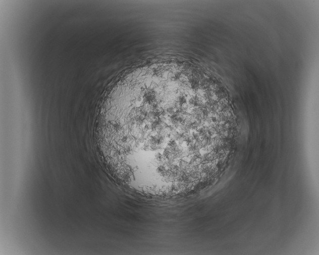 X0000111150769200908111133