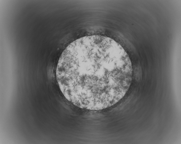 X0000111150770200908111133