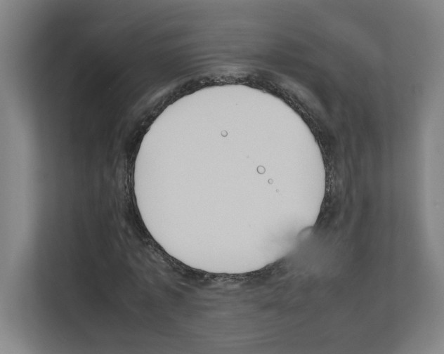 X0000111150773200908111133