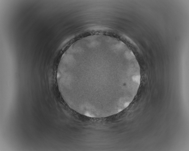 X0000111150775200908111133