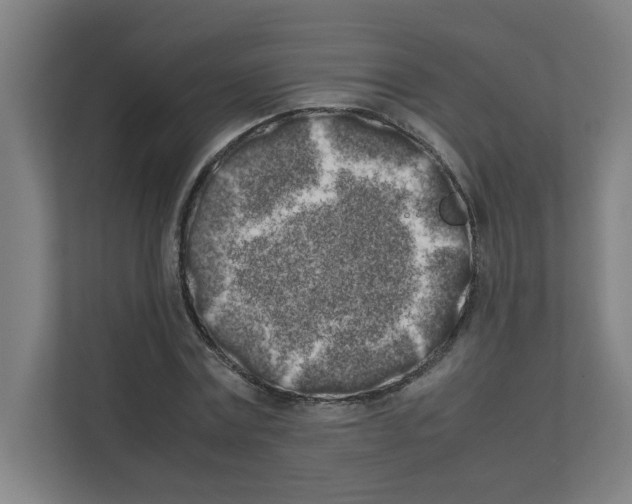 X0000111150779200908111133