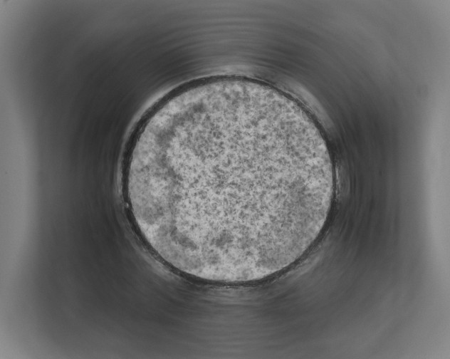 X0000111150780200908111133