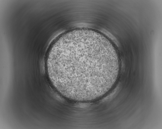 X0000111150782200908111133